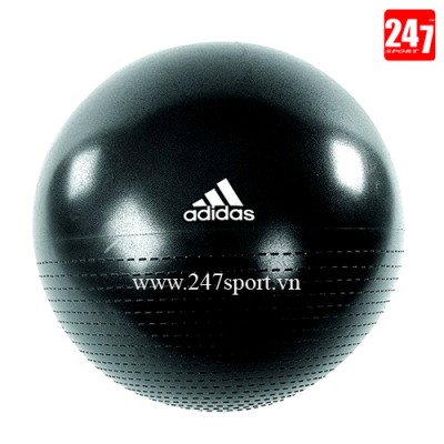 Bóng tập yoga Adidas ADBL 12245 65cm cao cấp giá rẻ